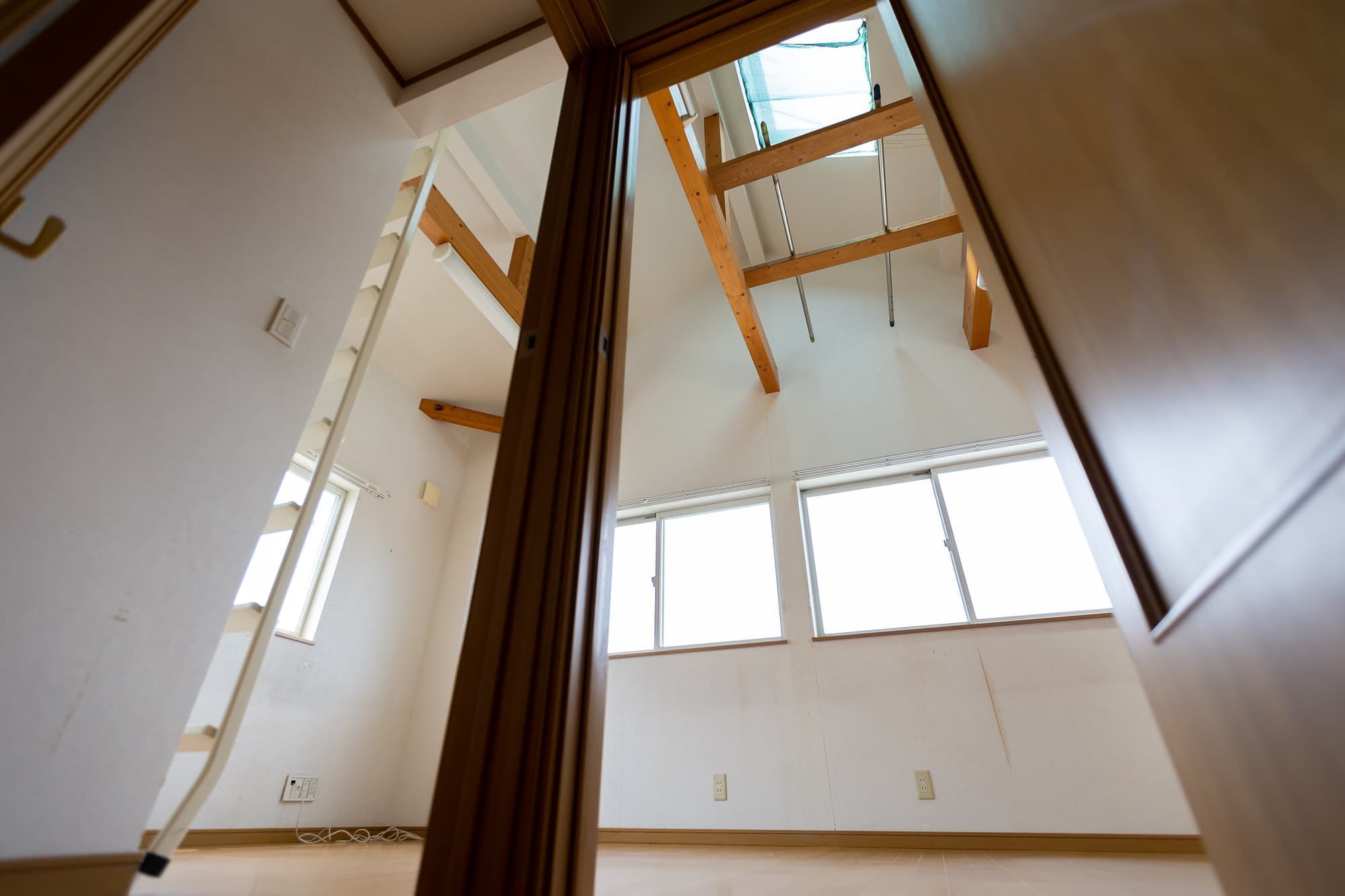 pxt00005824530002.jpg